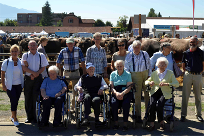 Stierem&auml;rt 2013