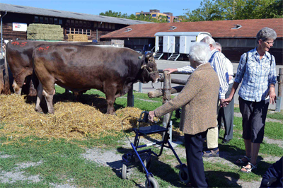 Stierem&auml;rt 2013