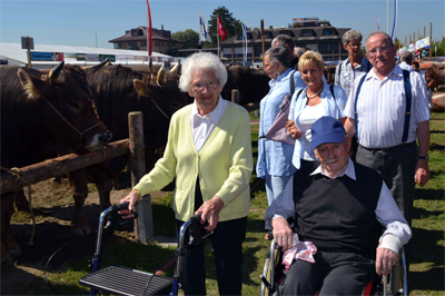 Stierem&auml;rt 2013