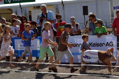 Stierem&auml;rt 2013