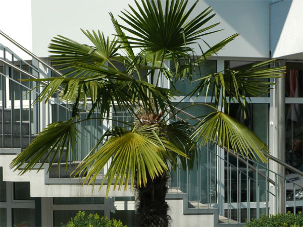 Alterswohnheim M&uuml;tschi