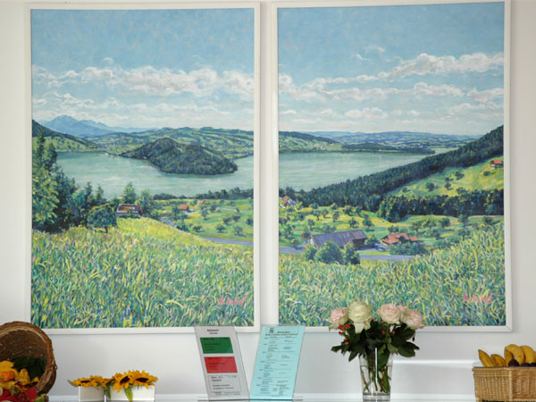 Alterswohnheim M&uuml;tschi